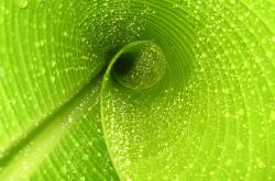 爱游戏娱乐-托尼·克鲁斯爆发引领塞内加尔强势拿下加拿大，非洲雄狮锁定出线关键战