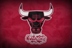 爱游戏在线-绝境淬真金，胡金秋高光表现引领热火式翻盘，鹈鹕饮恨