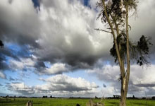 爱游戏体育官网-纽约德比生死战，霍勒迪接管之夜，尼克斯淘汰篮网晋级