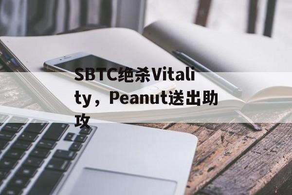 SBTC绝杀Vitality，Peanut送出助攻的简单介绍
