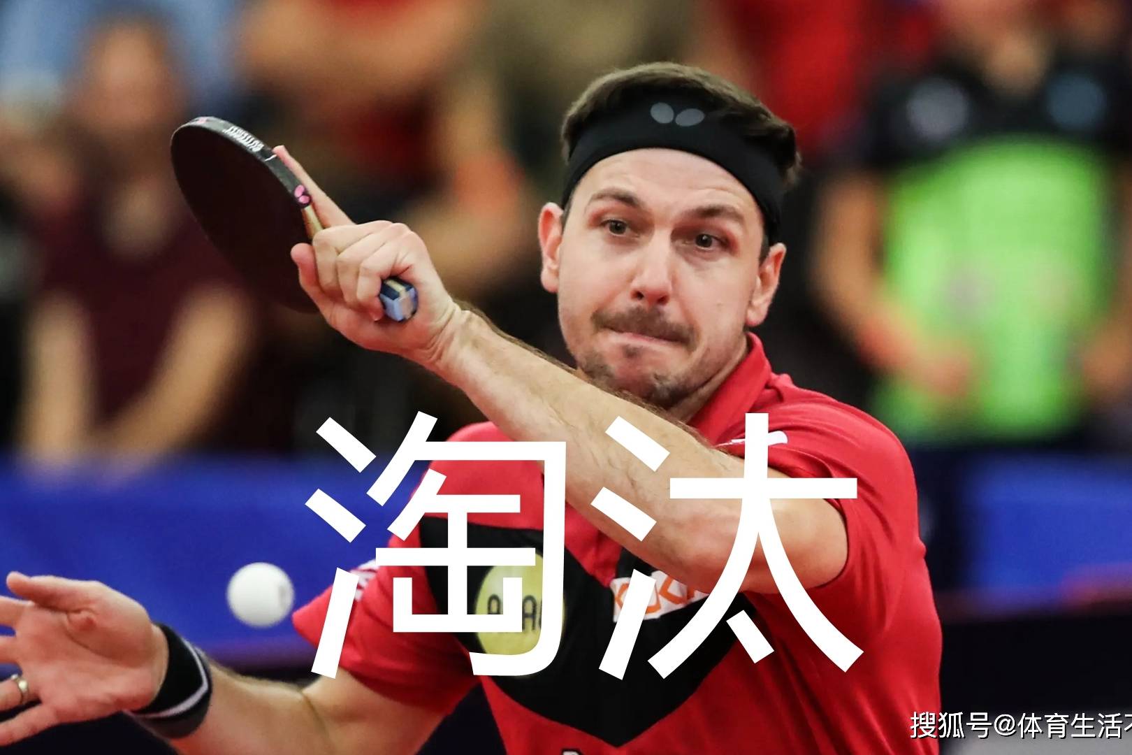 包含波兰乒乓球队绝杀日本乒乓球队，波尔制霸全场的词条