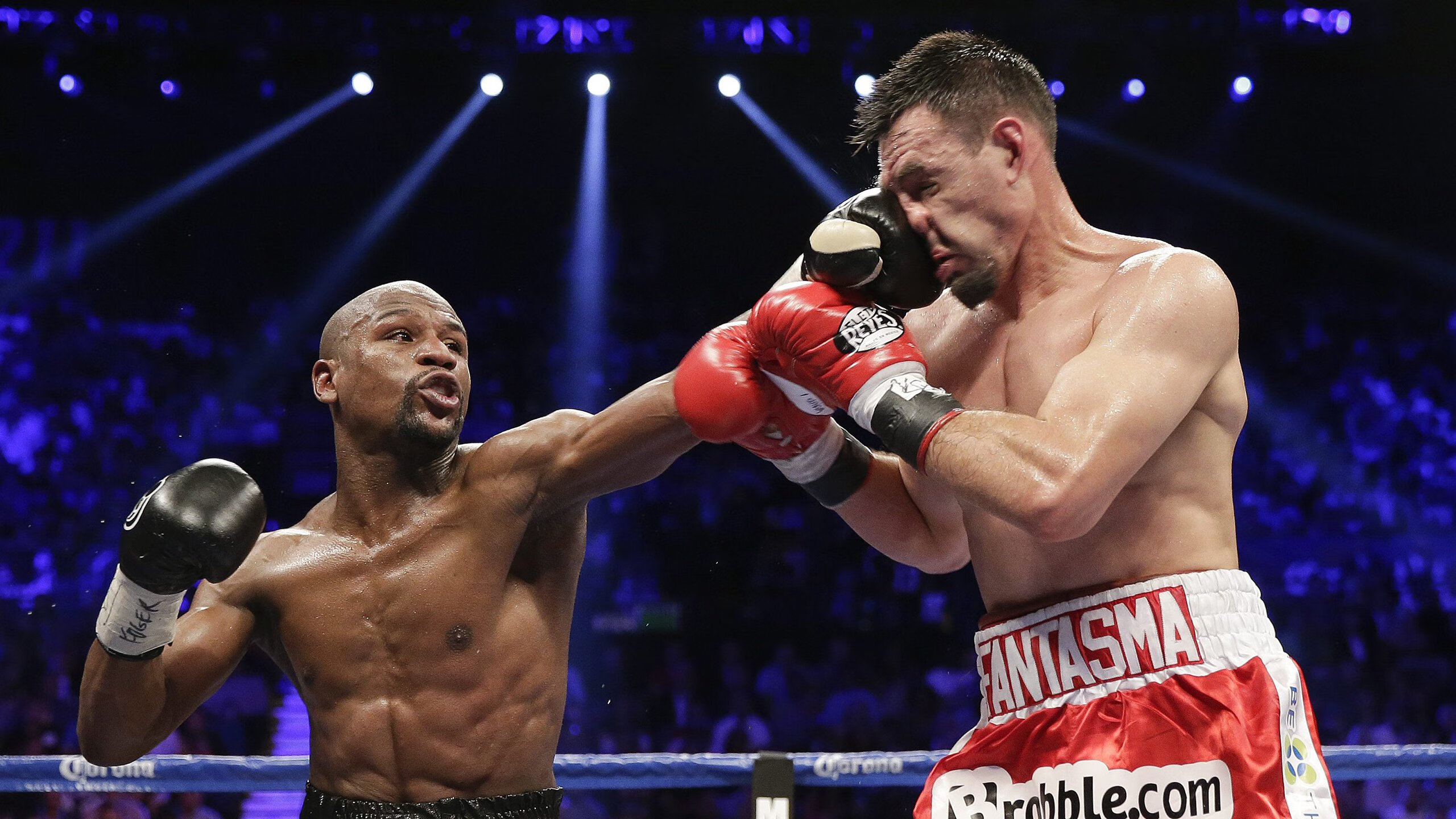 波尔一锤定音，日本队横扫韩国队改写亚洲乒坛格局